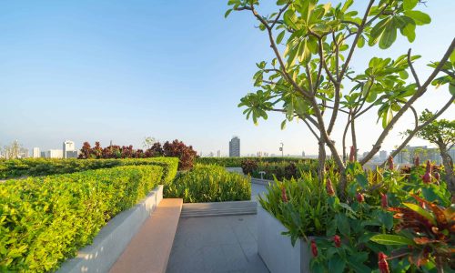 sky-garden-on-private-rooftop-of-condominium-or-ho-2026-03-08-23-50-36-utc.jpg